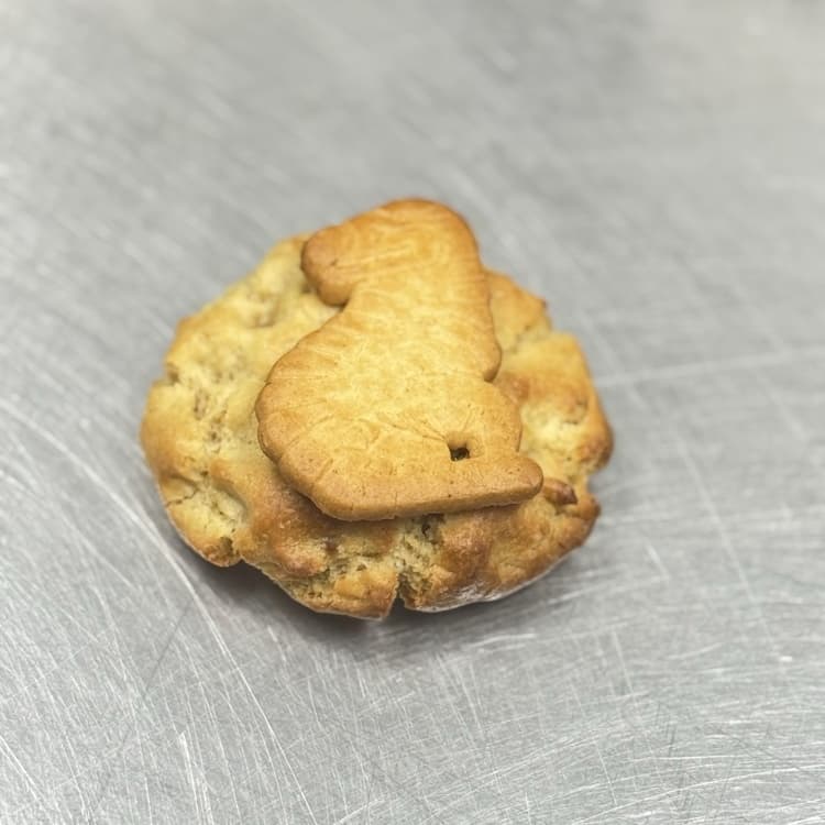 Cookie Dinosaurus con Auténtica Galleta